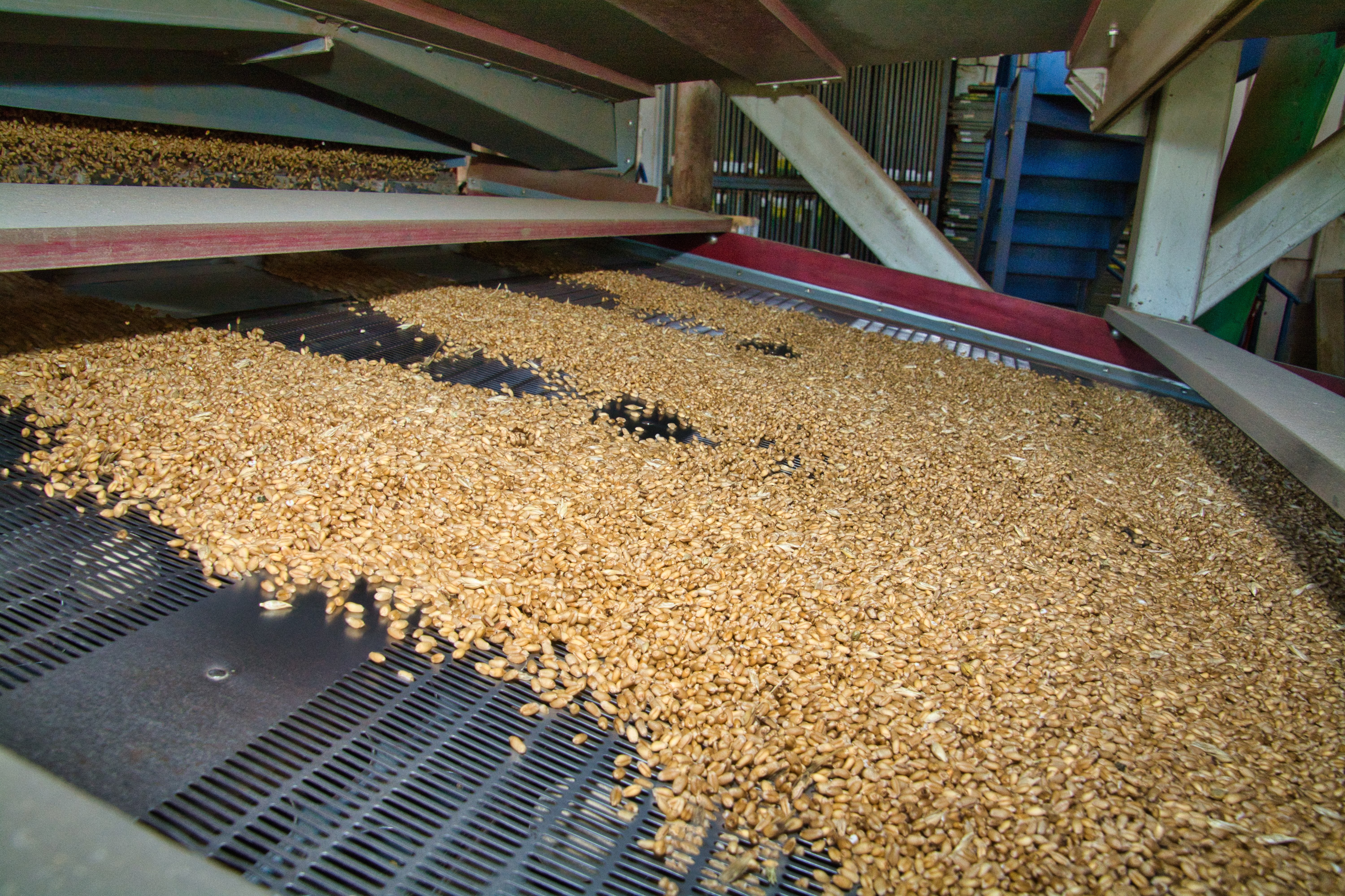 Plant  Services for Seed Processing